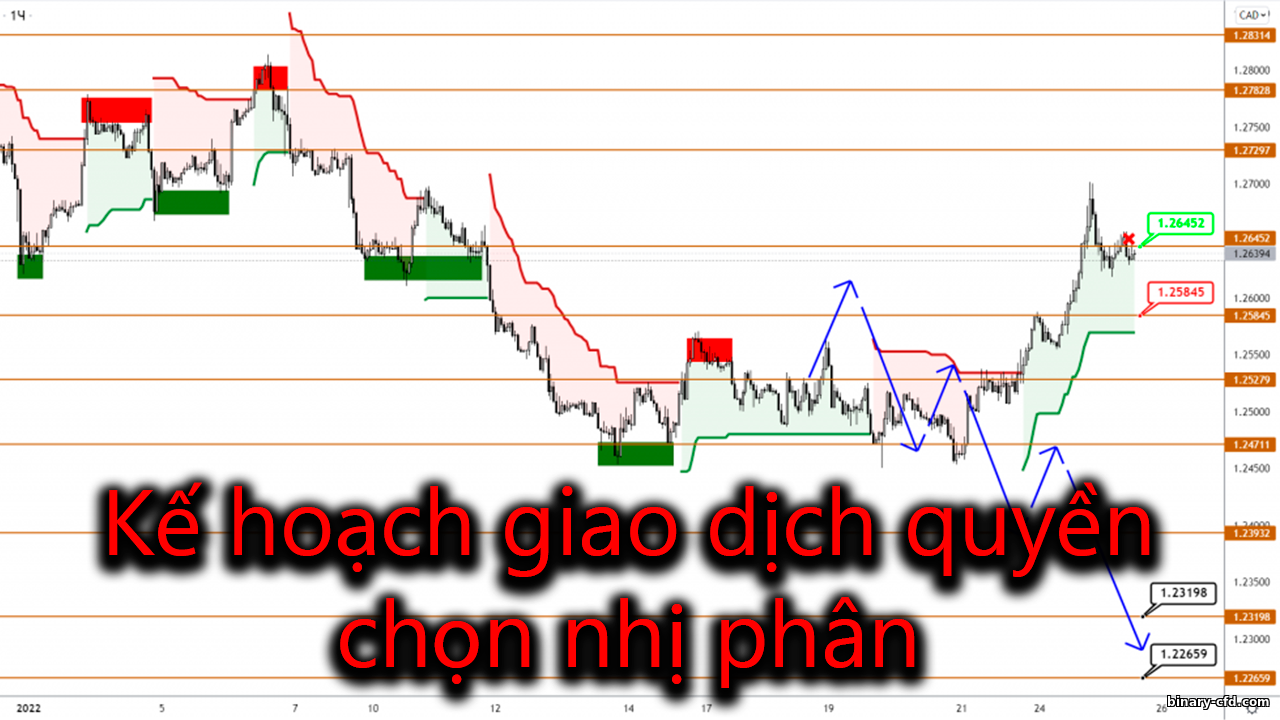 Kế hoạch giao dịch Quyền chọn nhị phân: Hướng dẫn https://binary-cfd.com/_nw/0/03770683.png