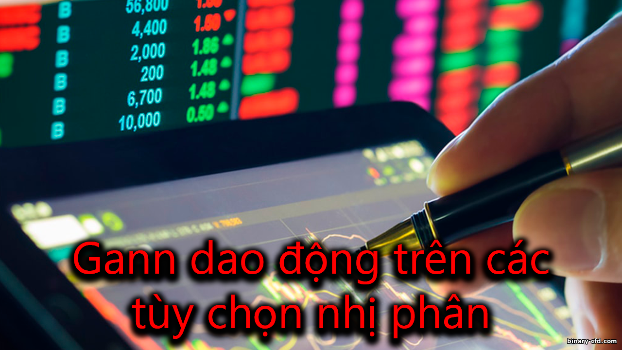 https://binary-cfd.com/_nw/0/03902305.png