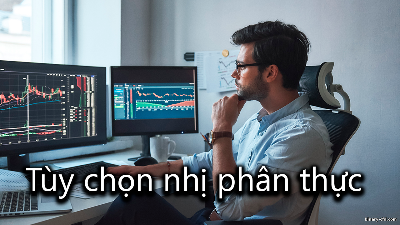 https://binary-cfd.com/_nw/0/05202497.png