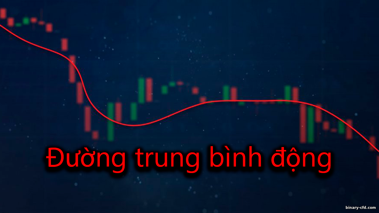 https://binary-cfd.com/_nw/0/14119180.png