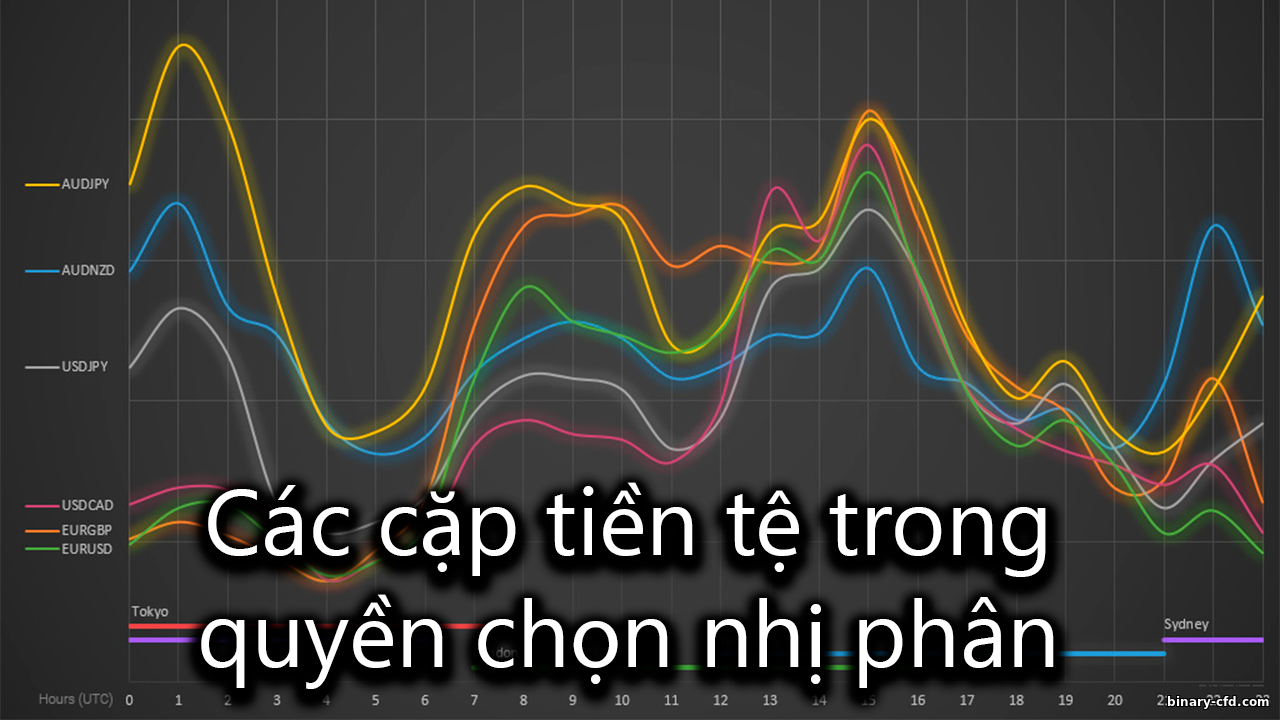 https://binary-cfd.com/_nw/0/15302198.png