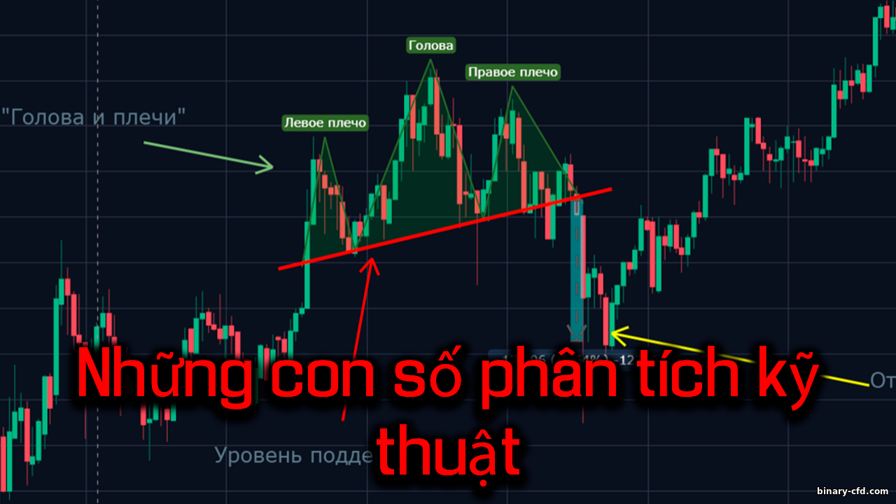 https://binary-cfd.com/_nw/0/17398161.png