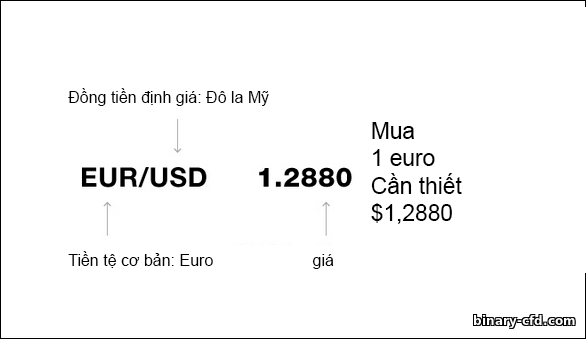 báo giá cặp tiền tệ trong các tùy chọn nhị phân