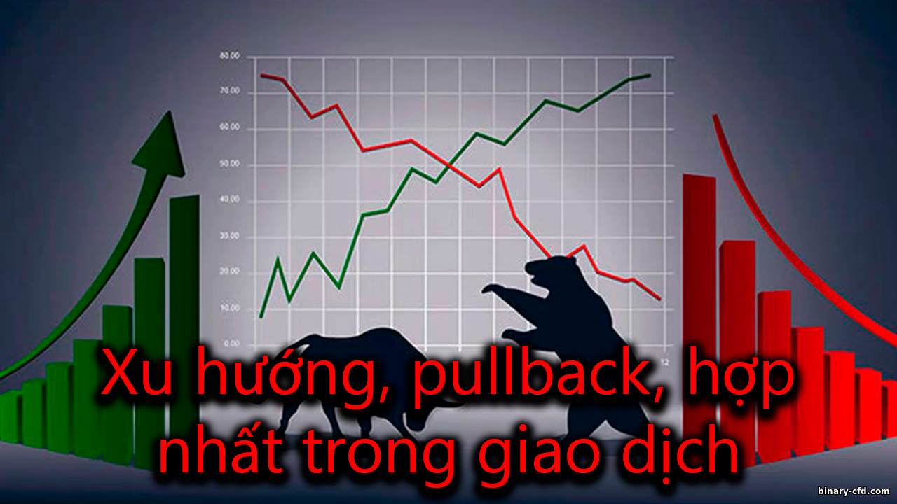 https://binary-cfd.com/_nw/0/33993870.png