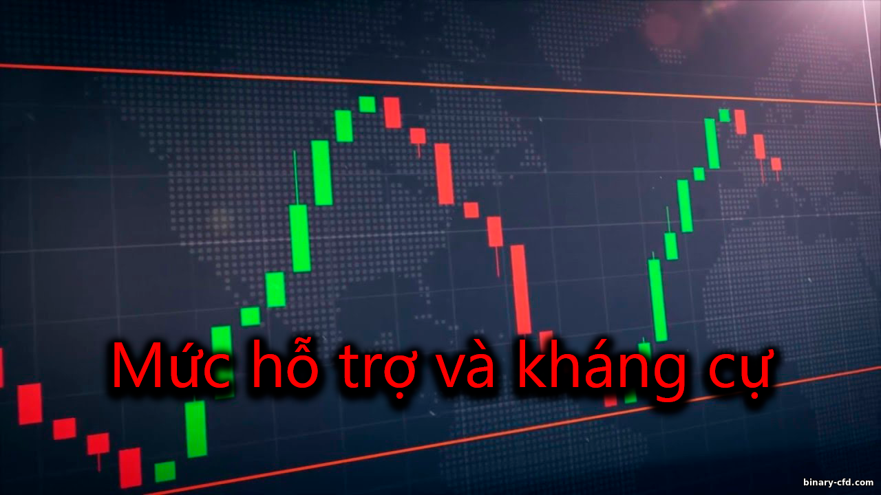 https://binary-cfd.com/_nw/0/35531150.png