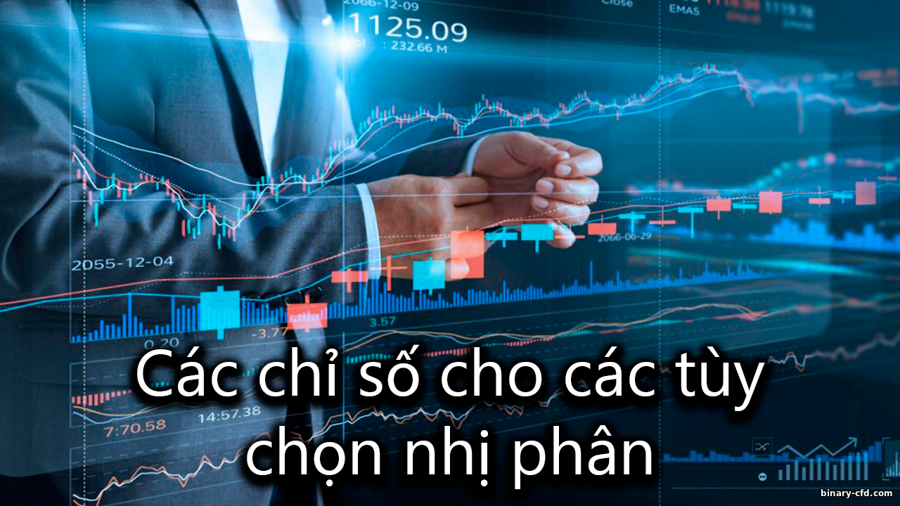 https://binary-cfd.com/_nw/0/37952798.png