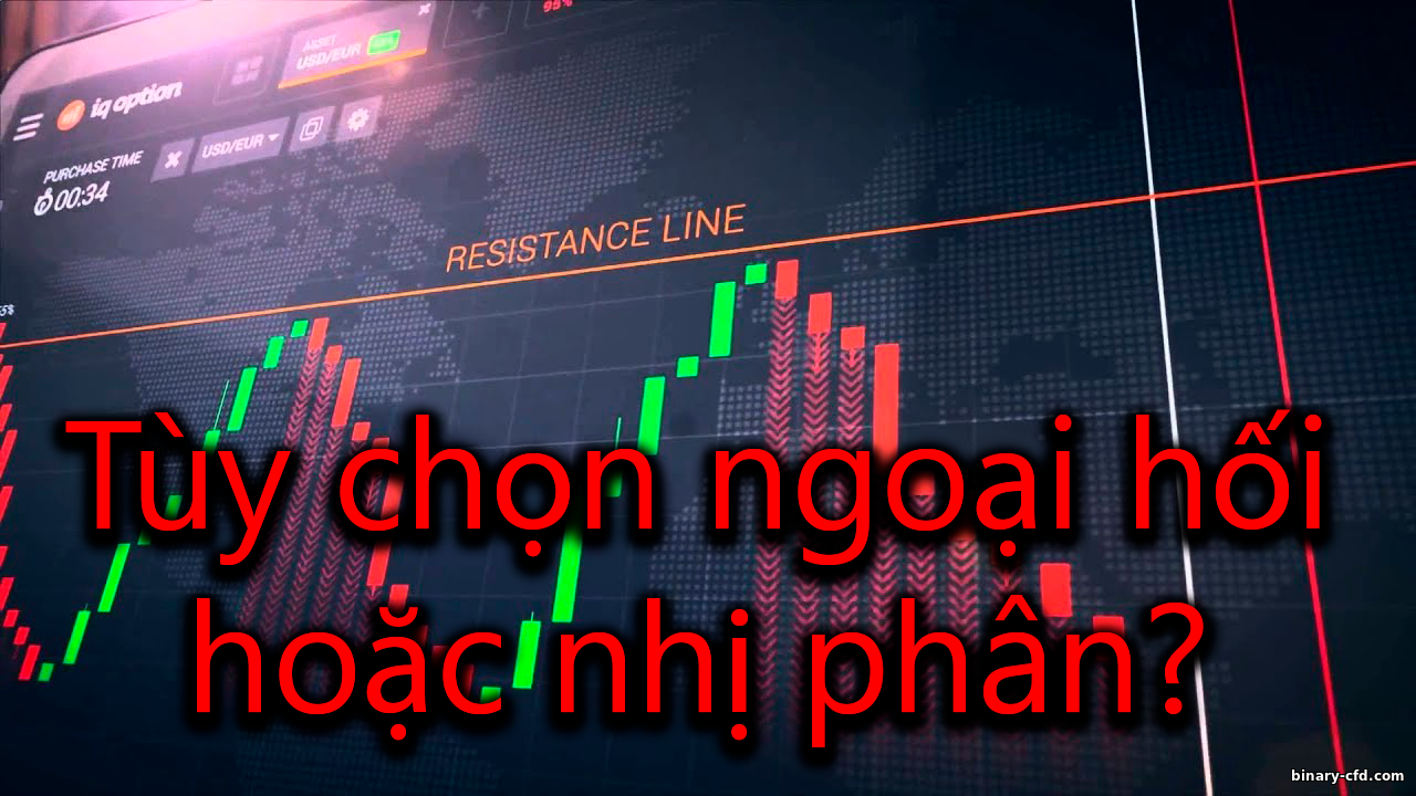 https://binary-cfd.com/_nw/0/46603437.png