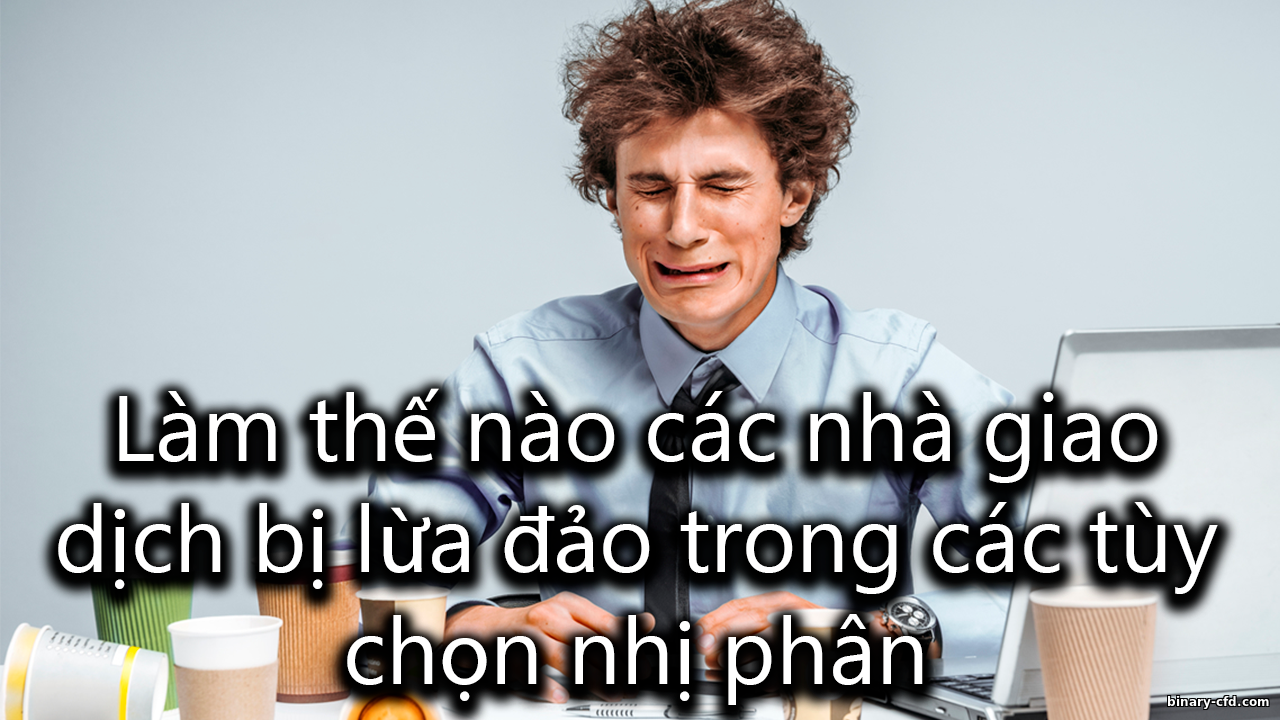 https://binary-cfd.com/_nw/0/50494729.png