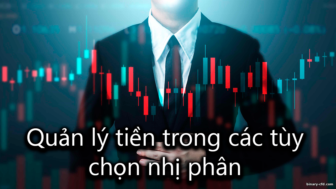 https://binary-cfd.com/_nw/0/67861802.png