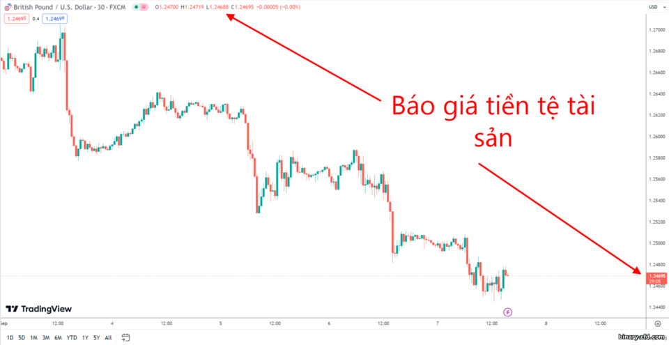 Báo giá tiền tệ của tài sản Báo giá tiền tệ của tài sản