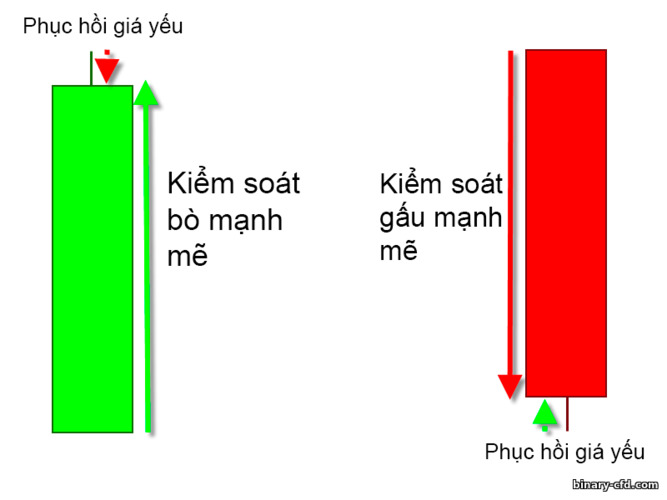 kiểm soát mạnh mẽ của gấu và bò