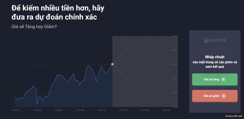 tùy chọn nhị phân