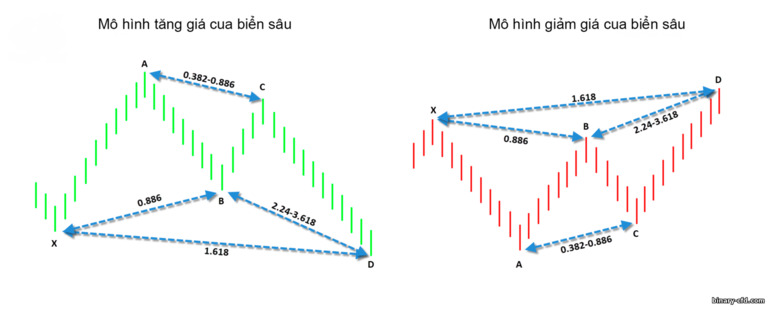 mô hình cua biển sâu