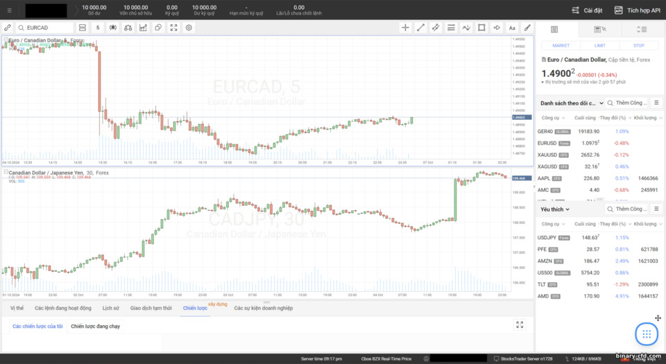Nền Tảng Giao Dịch Web RoboForex