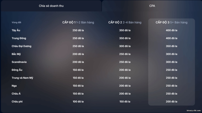 Chương Trình CPA tại Finministry